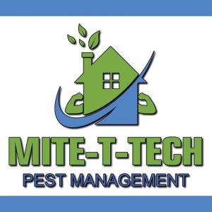 Mite T Tech